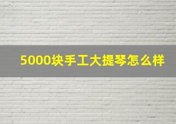 5000块手工大提琴怎么样