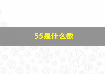 55是什么数