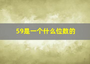 59是一个什么位数的