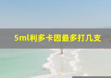 5ml利多卡因最多打几支