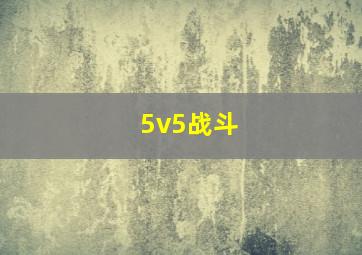 5v5战斗