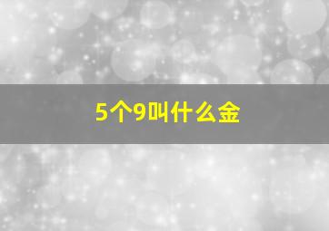 5个9叫什么金