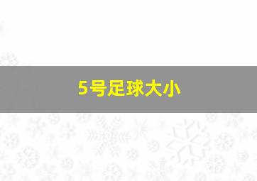 5号足球大小