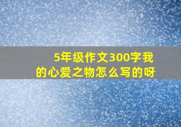 5年级作文300字我的心爱之物怎么写的呀