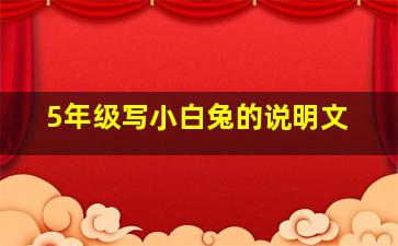 5年级写小白兔的说明文