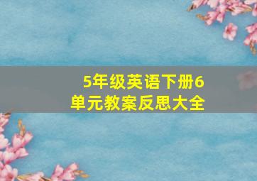 5年级英语下册6单元教案反思大全