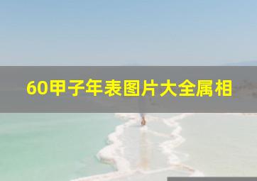 60甲子年表图片大全属相