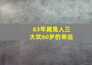 63年属兔人三大坎60岁的命运