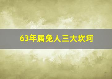 63年属兔人三大坎坷