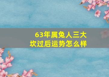 63年属兔人三大坎过后运势怎么样