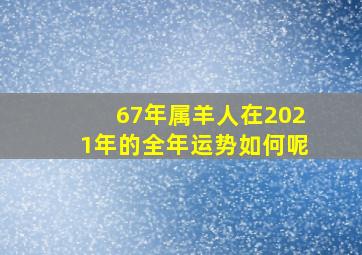 67年属羊人在2021年的全年运势如何呢