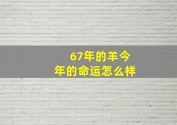 67年的羊今年的命运怎么样