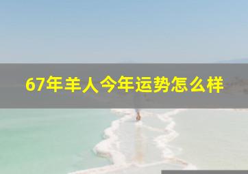 67年羊人今年运势怎么样