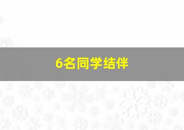 6名同学结伴