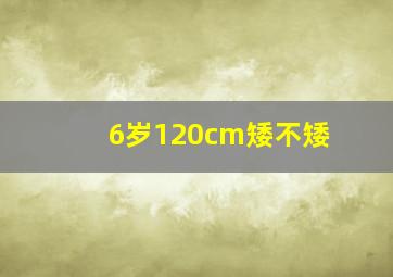 6岁120cm矮不矮