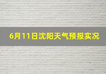 6月11日沈阳天气预报实况