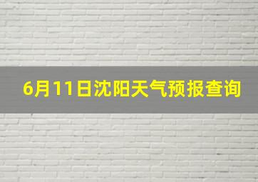 6月11日沈阳天气预报查询