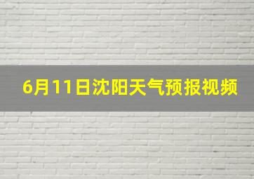 6月11日沈阳天气预报视频