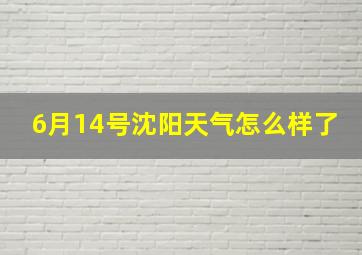 6月14号沈阳天气怎么样了