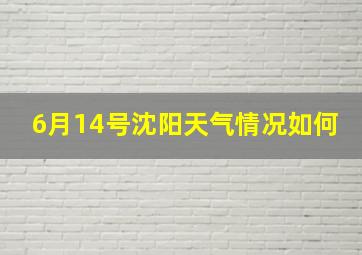 6月14号沈阳天气情况如何