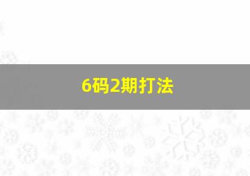 6码2期打法