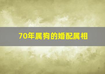 70年属狗的婚配属相