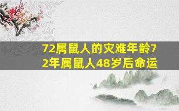 72属鼠人的灾难年龄72年属鼠人48岁后命运