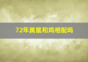 72年属鼠和鸡相配吗