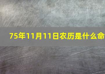 75年11月11日农历是什么命