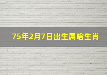 75年2月7日出生属啥生肖