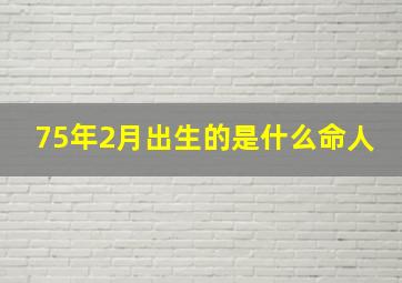 75年2月出生的是什么命人