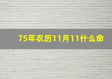 75年农历11月11什么命