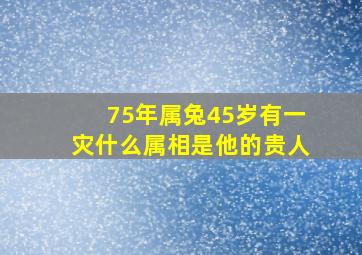 75年属兔45岁有一灾什么属相是他的贵人