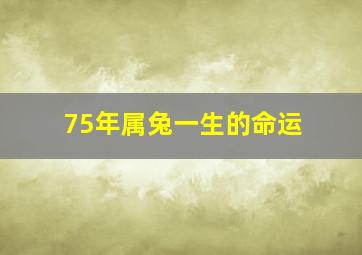 75年属兔一生的命运