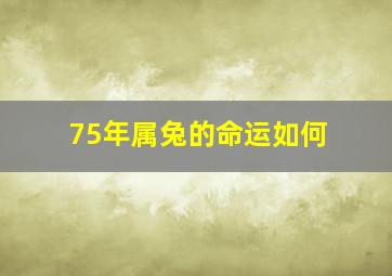 75年属兔的命运如何