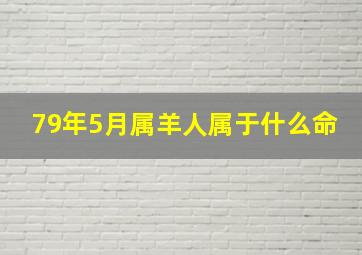 79年5月属羊人属于什么命