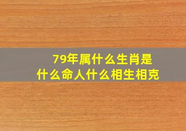 79年属什么生肖是什么命人什么相生相克