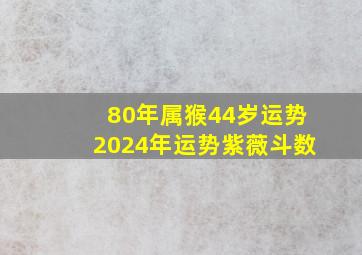 80年属猴44岁运势2024年运势紫薇斗数