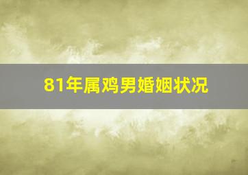 81年属鸡男婚姻状况