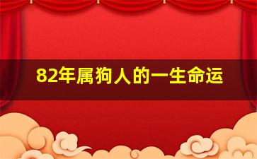 82年属狗人的一生命运