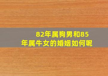 82年属狗男和85年属牛女的婚姻如何呢