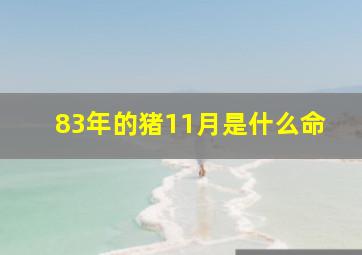 83年的猪11月是什么命