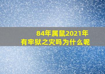 84年属鼠2021年有牢狱之灾吗为什么呢