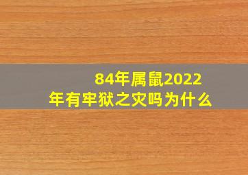 84年属鼠2022年有牢狱之灾吗为什么