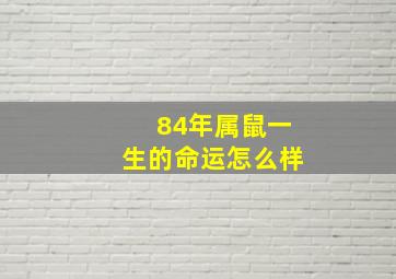 84年属鼠一生的命运怎么样