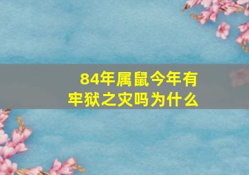 84年属鼠今年有牢狱之灾吗为什么