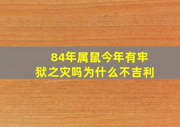 84年属鼠今年有牢狱之灾吗为什么不吉利