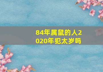 84年属鼠的人2020年犯太岁吗