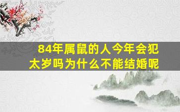 84年属鼠的人今年会犯太岁吗为什么不能结婚呢