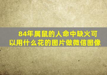 84年属鼠的人命中缺火可以用什么花的图片做微信图像